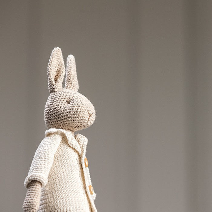 Mr Bunny with Egg Bag - Crochet kit