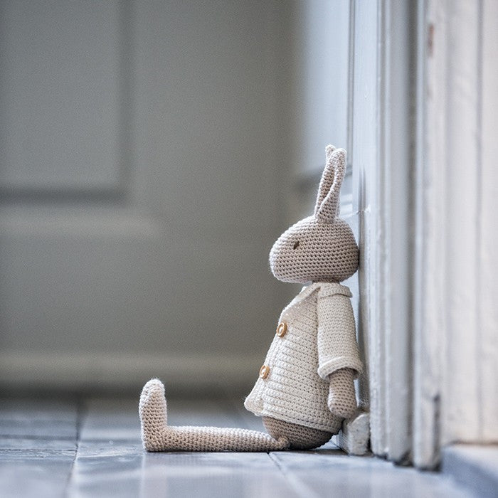 Mr Bunny with Egg Bag - Crochet kit