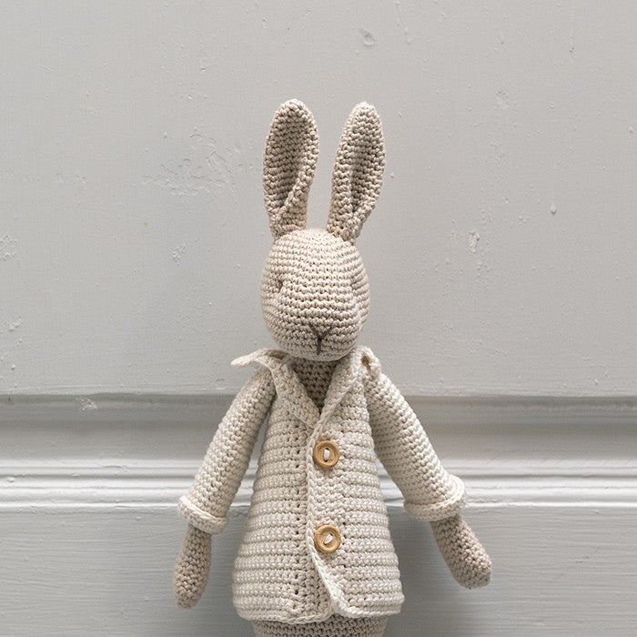 Mr Bunny with Egg Bag - Crochet kit
