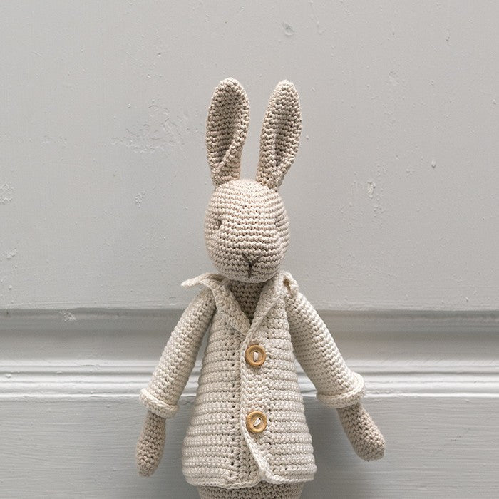 Mr Bunny with Egg Bag - Crochet Kit