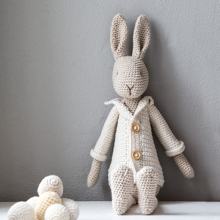 Mr Bunny with Egg Bag - Crochet kit